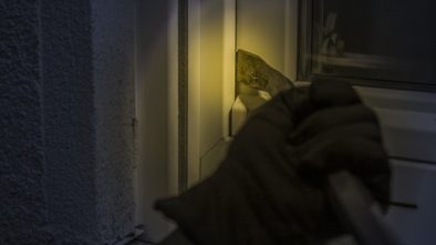 Kriminalita v regionech