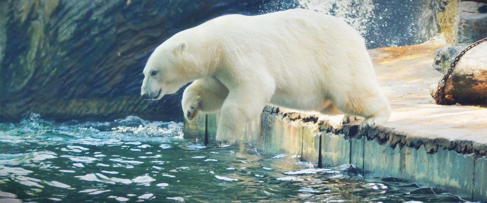 podzimní prázdniny v pražské zoo