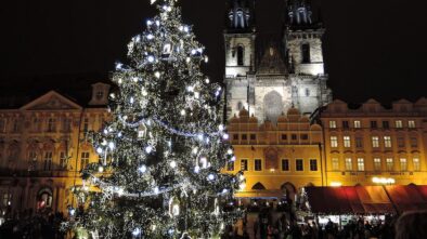 Praha po roce hledá vánoční strom