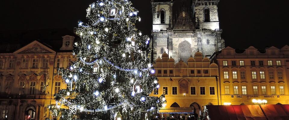 Praha po roce hledá vánoční strom