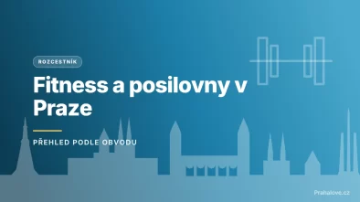 Grafický náhled - rozcestník Fitness a posilovny v Praze