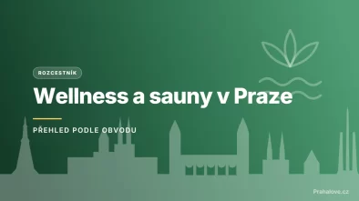 Grafický náhled - rozcestník Wellness a sauny v Praze