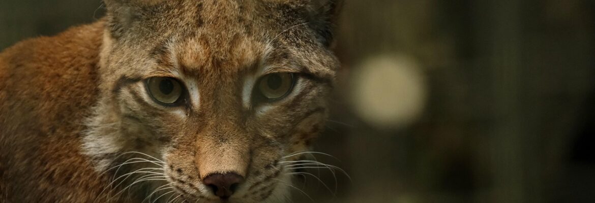 Zoo Praha