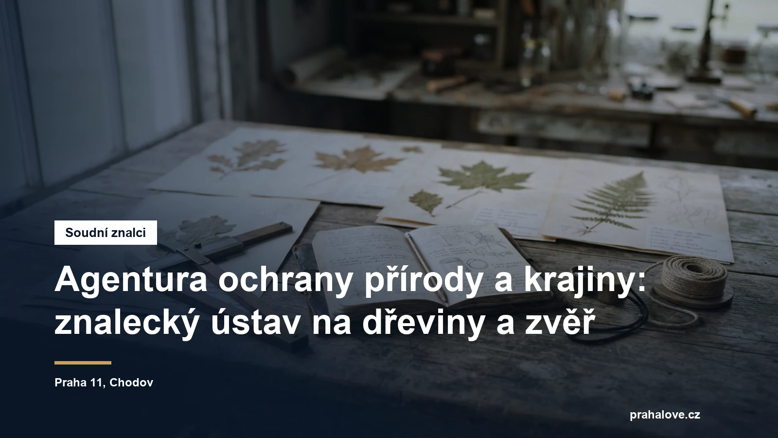 Agentura ochrany přírody a krajiny, znalecký ústav pro dřeviny a zvěř, Chodov na Praze 11