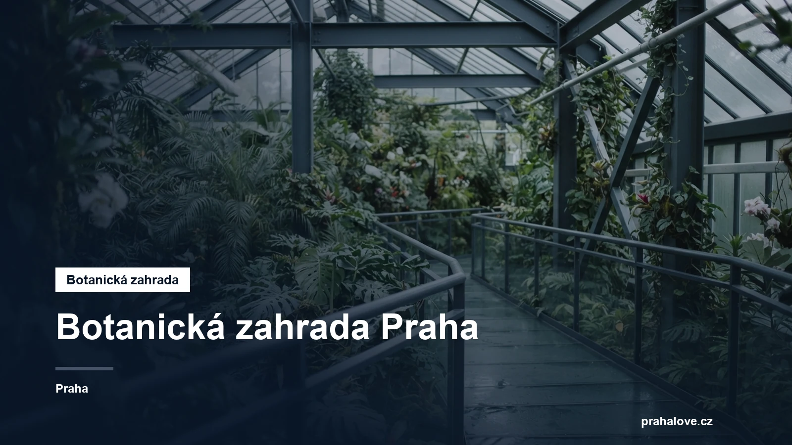 Tropický skleník s exotickými rostlinami