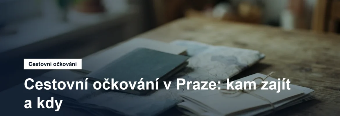 Cestovní pas, mapa a zdravotní doklady na stole