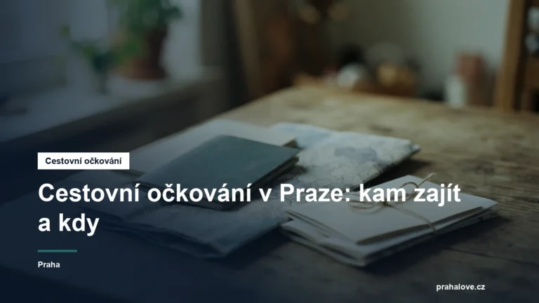 Cestovní pas, mapa a zdravotní doklady na stole