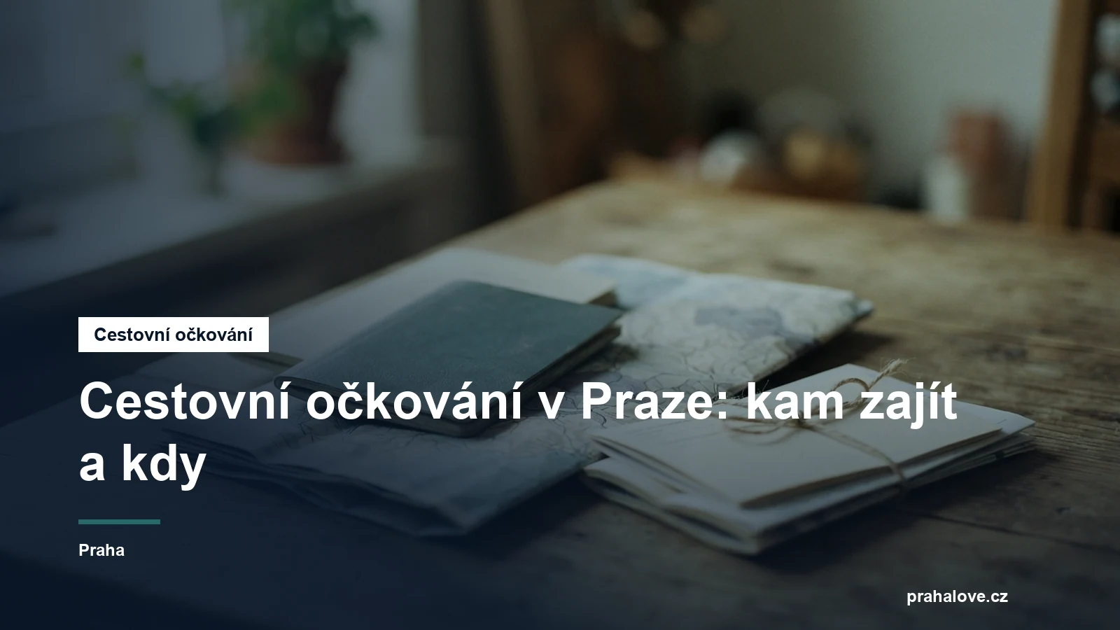 Cestovní pas, mapa a zdravotní doklady na stole