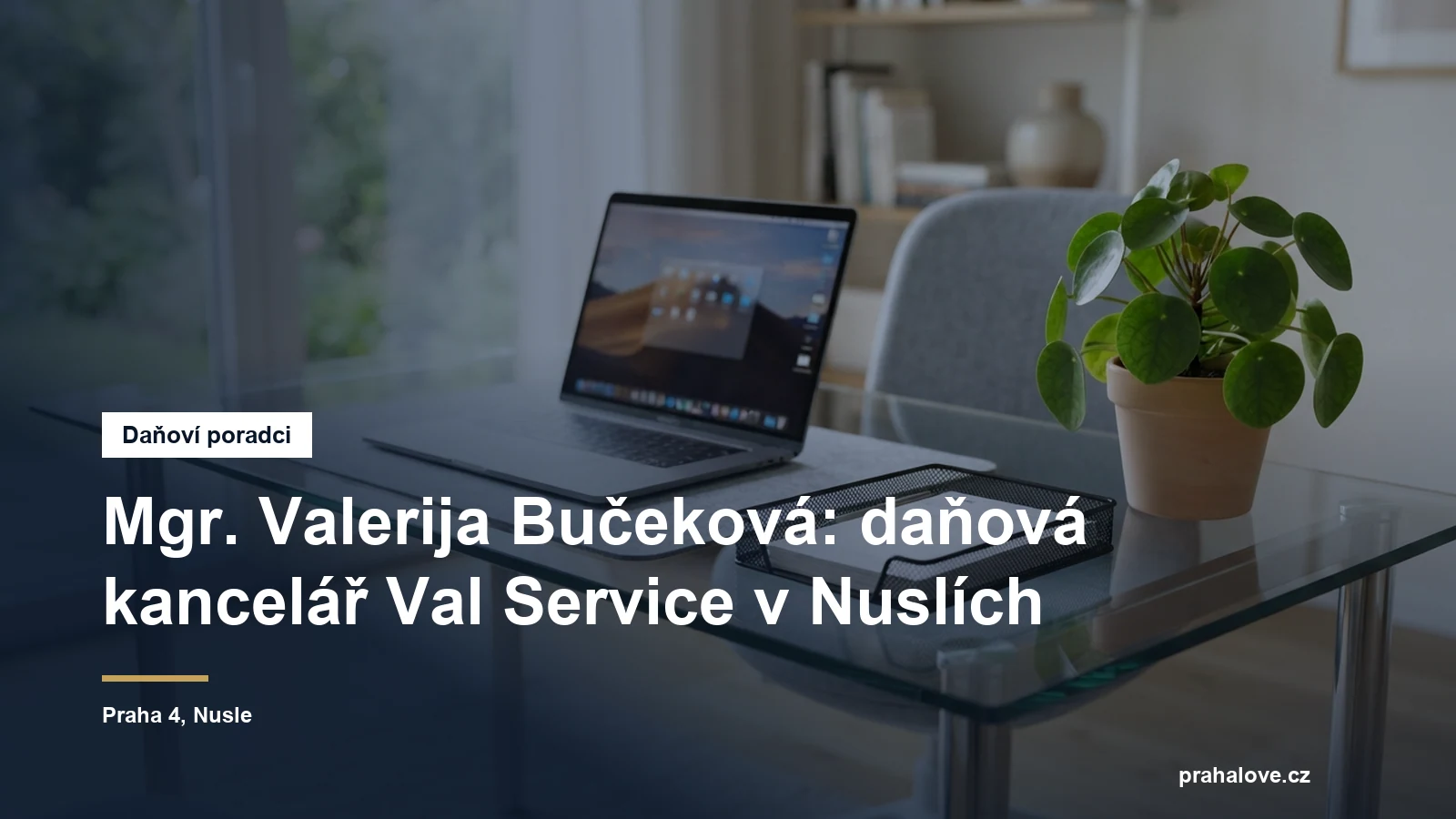 Daňová a účetní kancelář v Nuslích v Praze