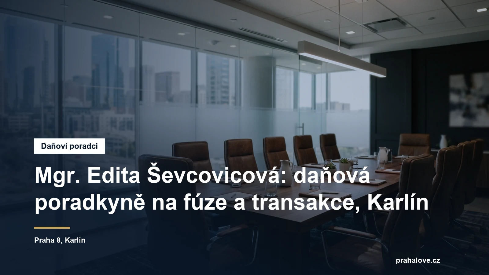 Jednací místnost daňové a účetní kanceláře v Karlíně v Praze