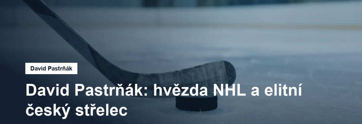 Hokejka a puk na ledové ploše