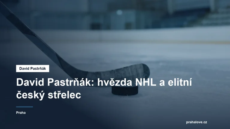 Hokejka a puk na ledové ploše