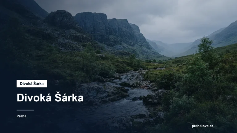 Skalnatá rokle s potokem