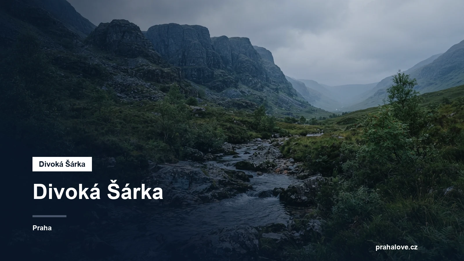 Skalnatá rokle s potokem