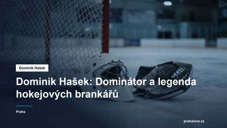 Brankářská maska a lapačka u branky