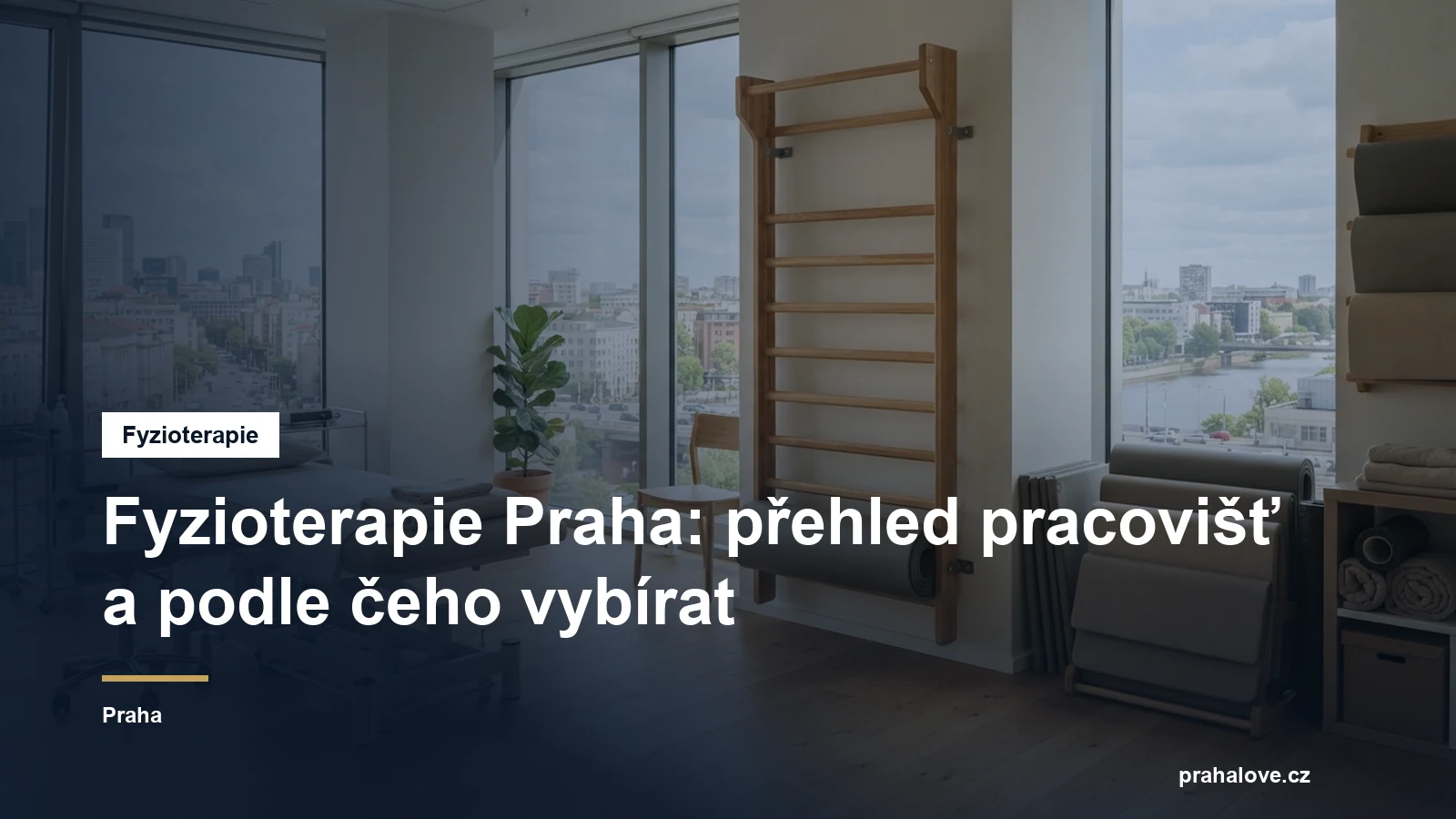 Fyzioterapeutická pracoviště v Praze