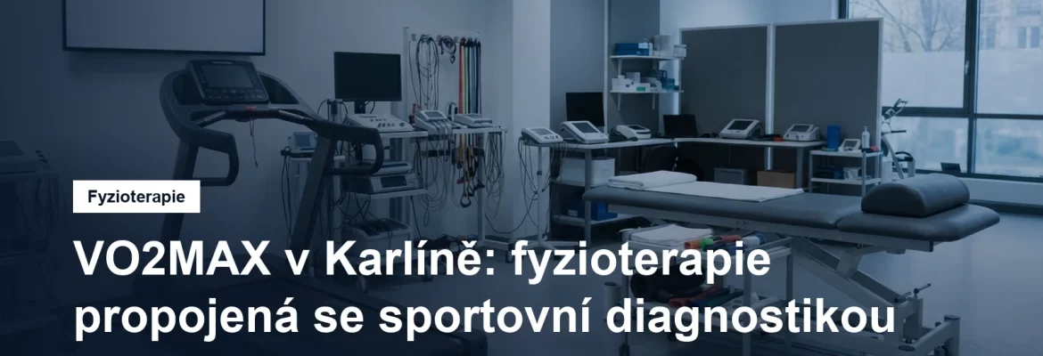 Fyzioterapie se sportovní diagnostikou v Karlíně v Praze