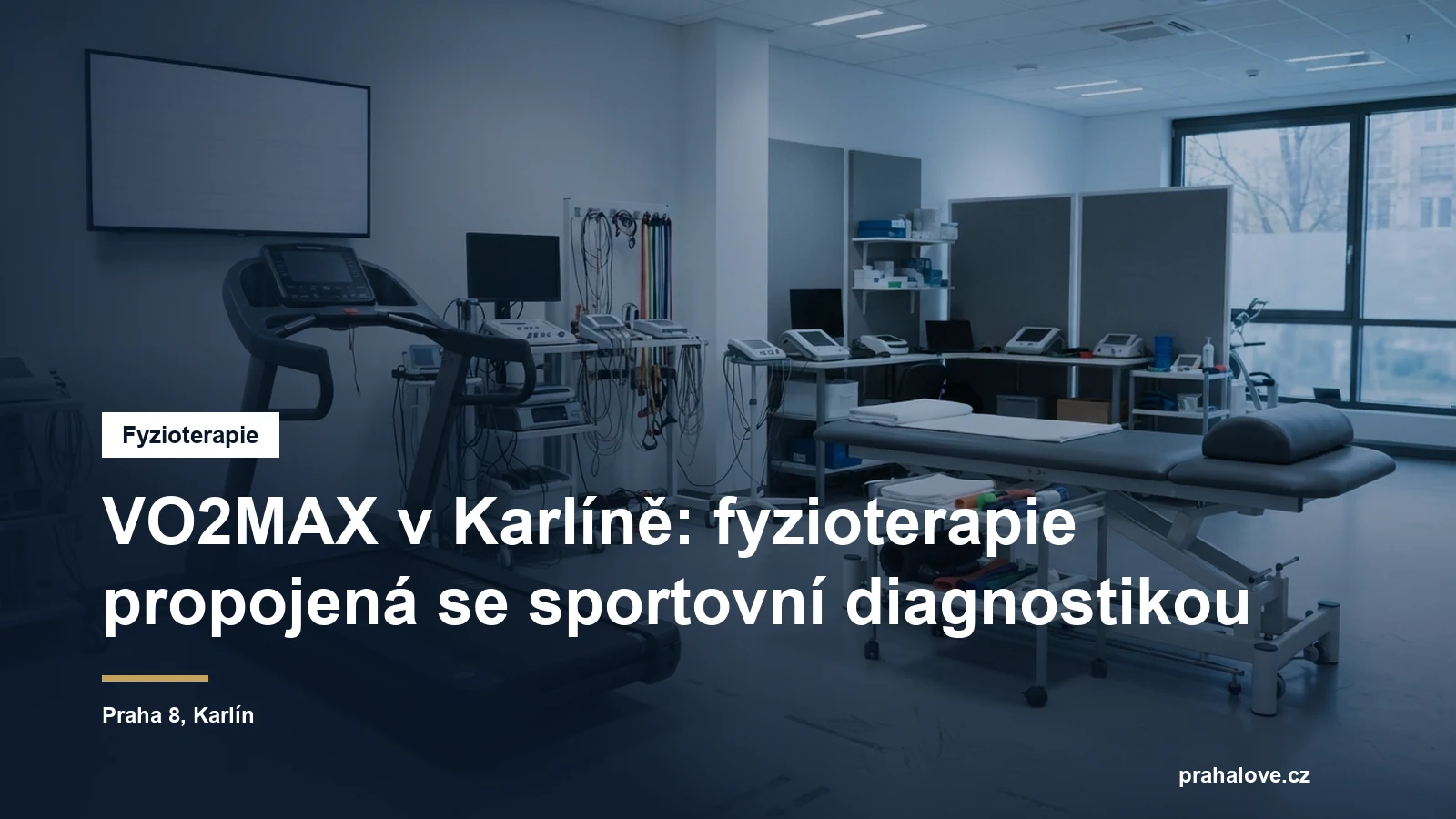 Fyzioterapie se sportovní diagnostikou v Karlíně v Praze