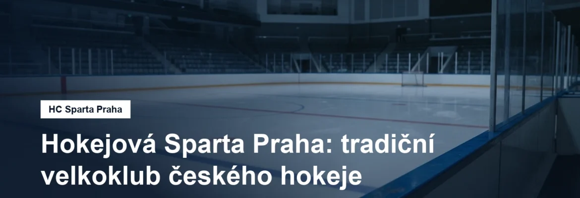 Lední plocha a mantinely v moderní aréně