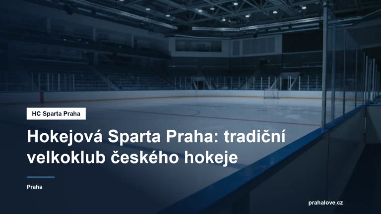 Lední plocha a mantinely v moderní aréně