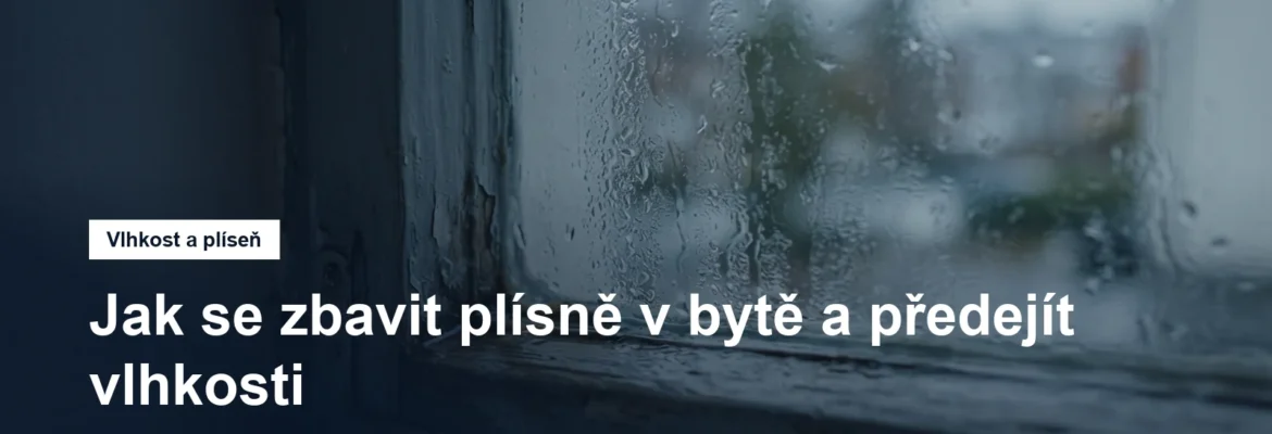 Okno s orosenými skly a vlhkým rámem