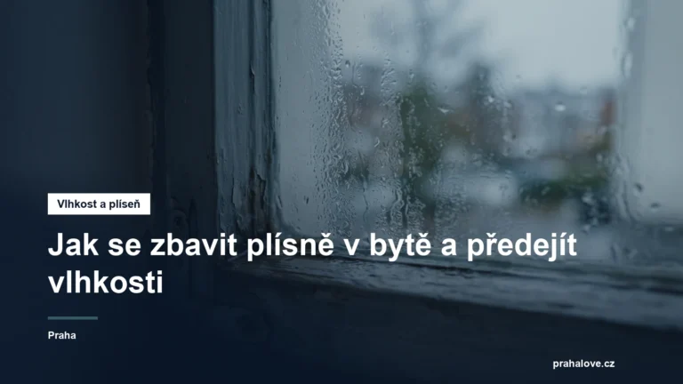 Okno s orosenými skly a vlhkým rámem