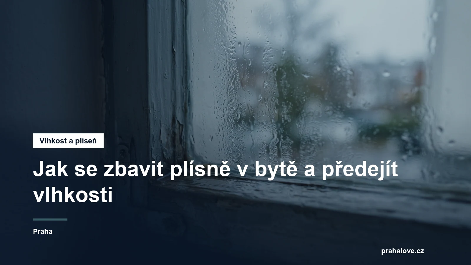 Okno s orosenými skly a vlhkým rámem