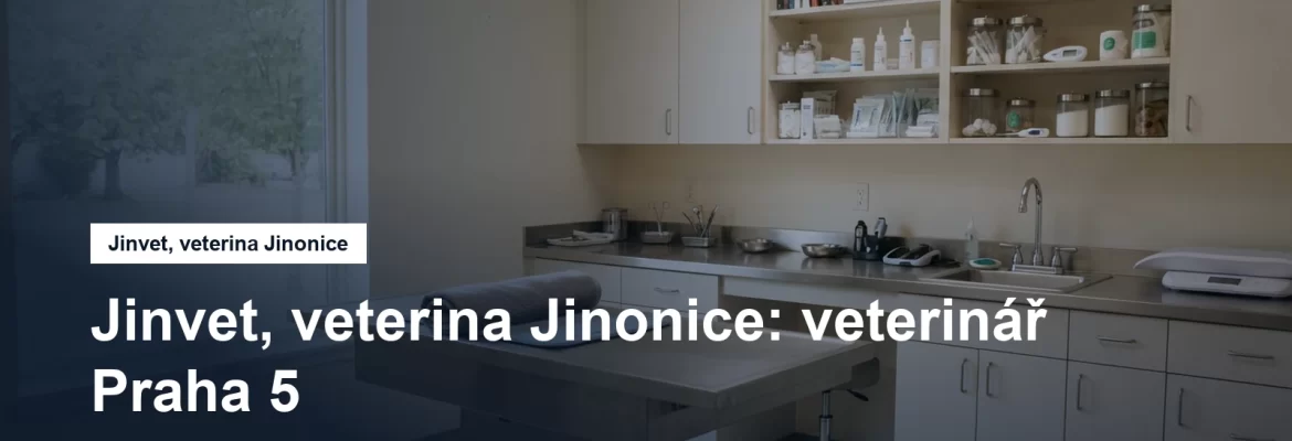 Veterinární ordinace s vyšetřovacím stolem