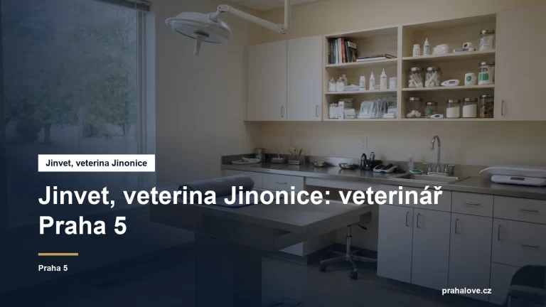Veterinární ordinace s vyšetřovacím stolem