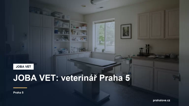 Veterinární ordinace s vyšetřovacím stolem