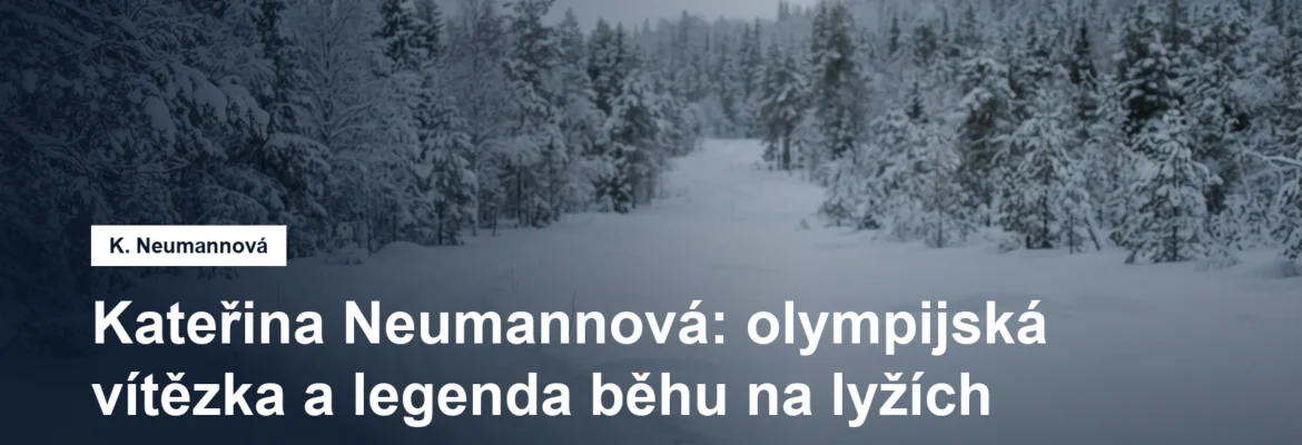 Zasněžená běžecká stopa v zimní krajině