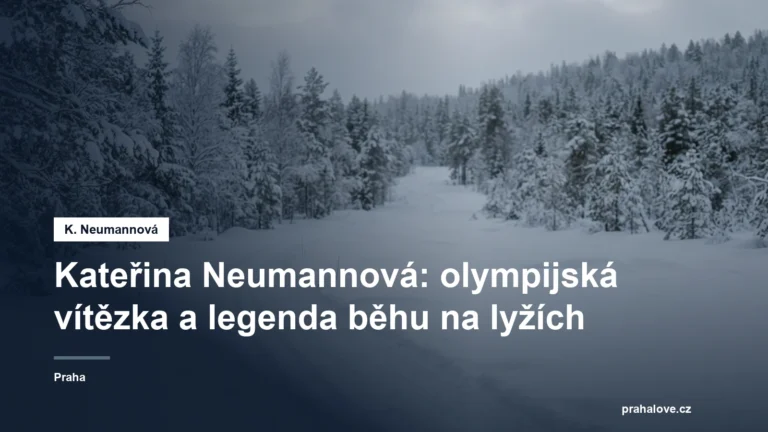 Zasněžená běžecká stopa v zimní krajině