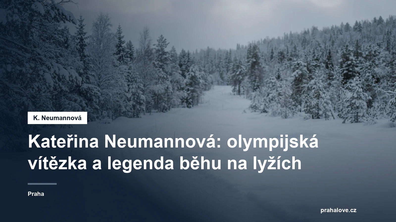 Zasněžená běžecká stopa v zimní krajině