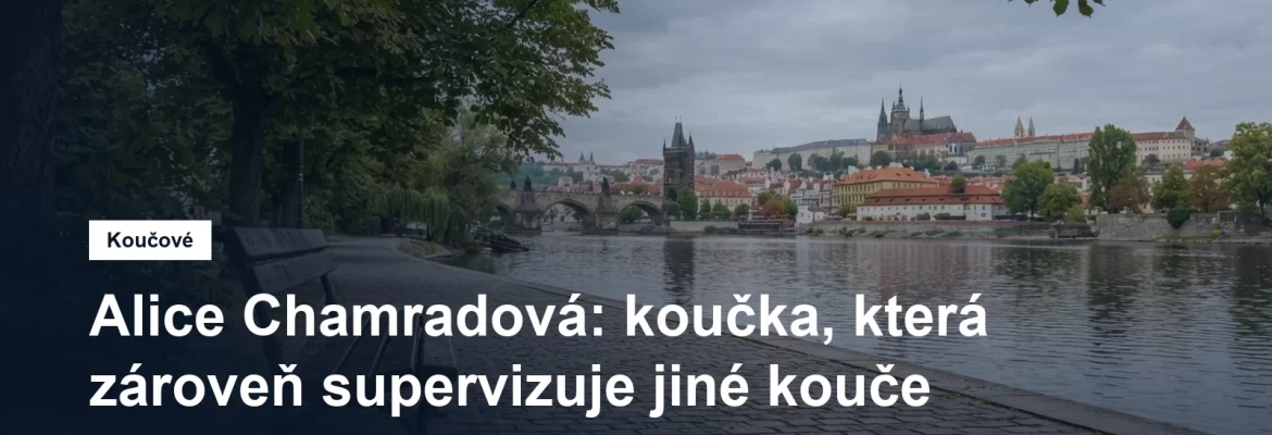 Prostředí pro koučovací setkání v Praze, Mgr. Alice Chamradová