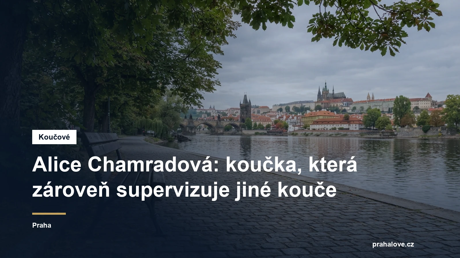 Prostředí pro koučovací setkání v Praze, Mgr. Alice Chamradová