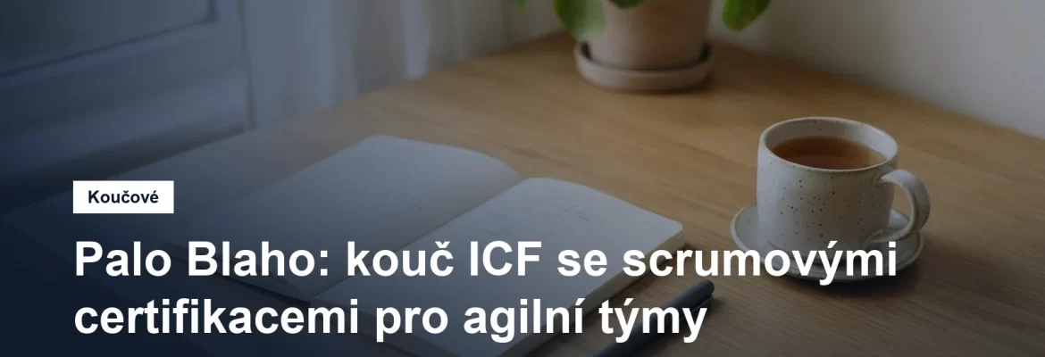 Prostředí pro koučovací setkání v Praze, Palo Blaho