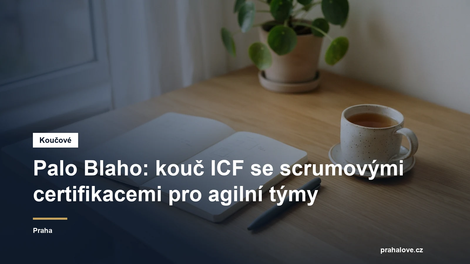 Prostředí pro koučovací setkání v Praze, Palo Blaho