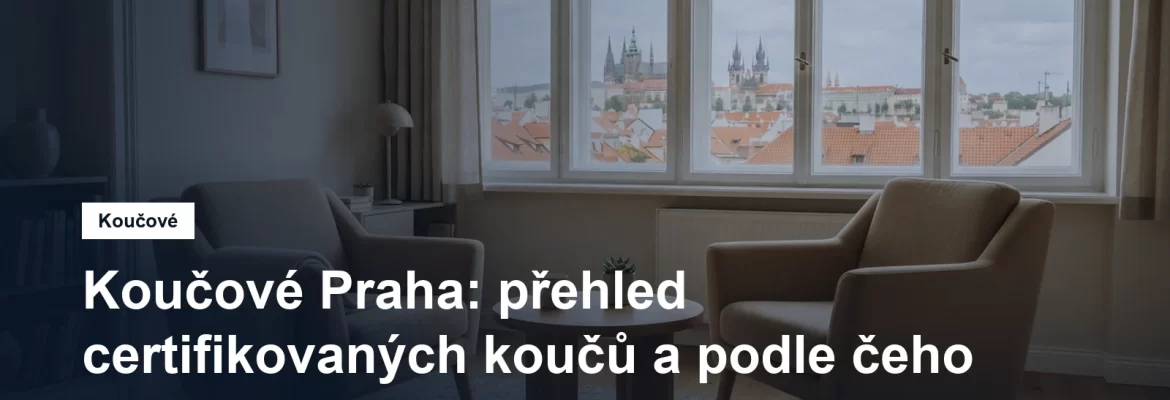 Koučink v Praze, prostředí pro profesionální rozhovor