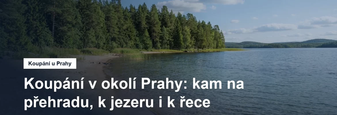 Písčitý břeh jezera s mělkou vodou a lesem v pozadí