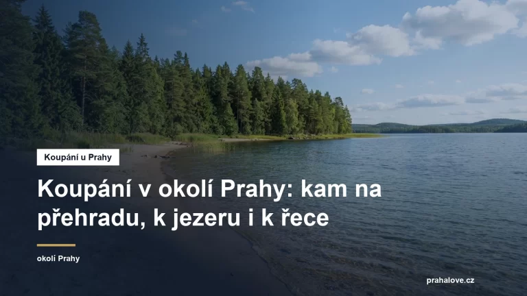 Písčitý břeh jezera s mělkou vodou a lesem v pozadí