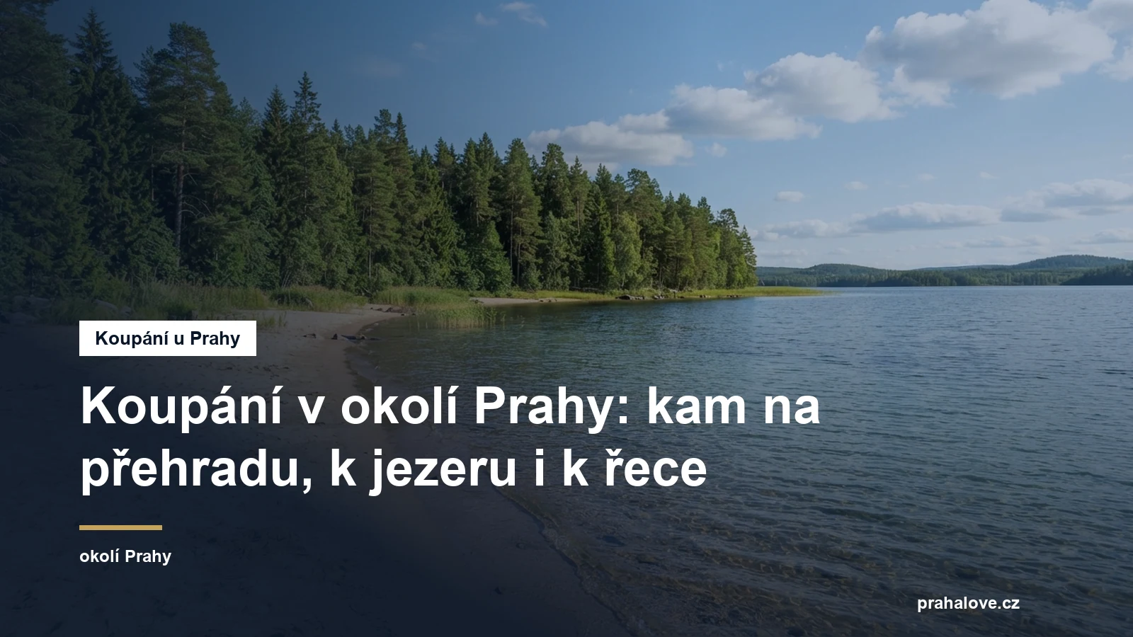 Písčitý břeh jezera s mělkou vodou a lesem v pozadí