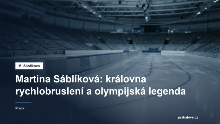 Ledová plocha rychlobruslařského oválu za studeného světla