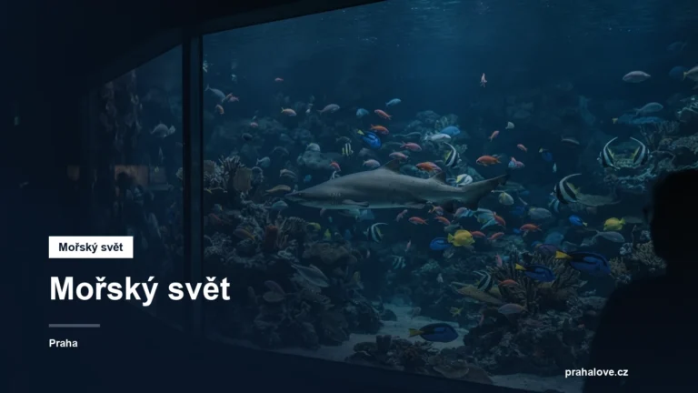 Velké akvárium se žraloky