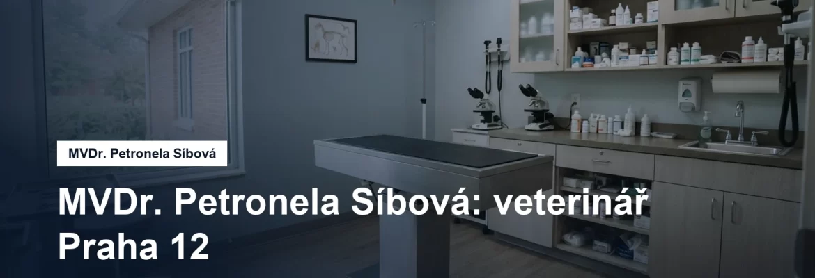 Veterinární ordinace s vyšetřovacím stolem