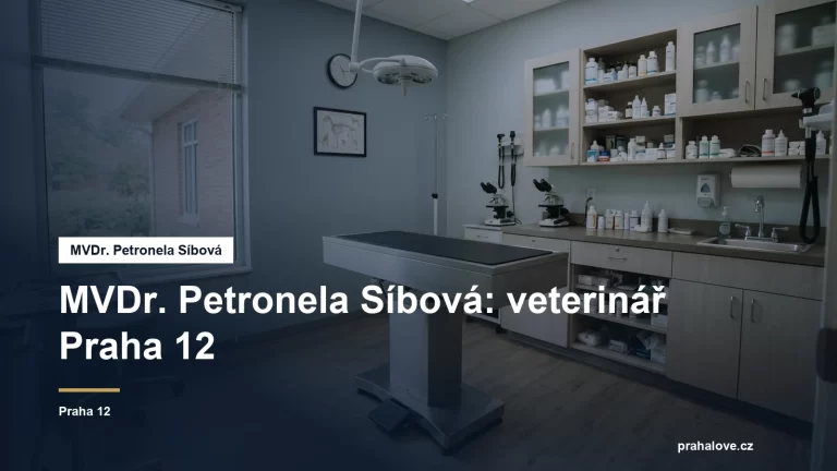 Veterinární ordinace s vyšetřovacím stolem
