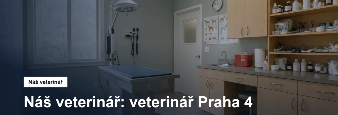 Veterinární ordinace s vyšetřovacím stolem