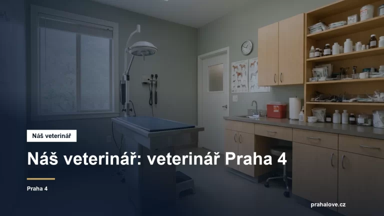 Veterinární ordinace s vyšetřovacím stolem