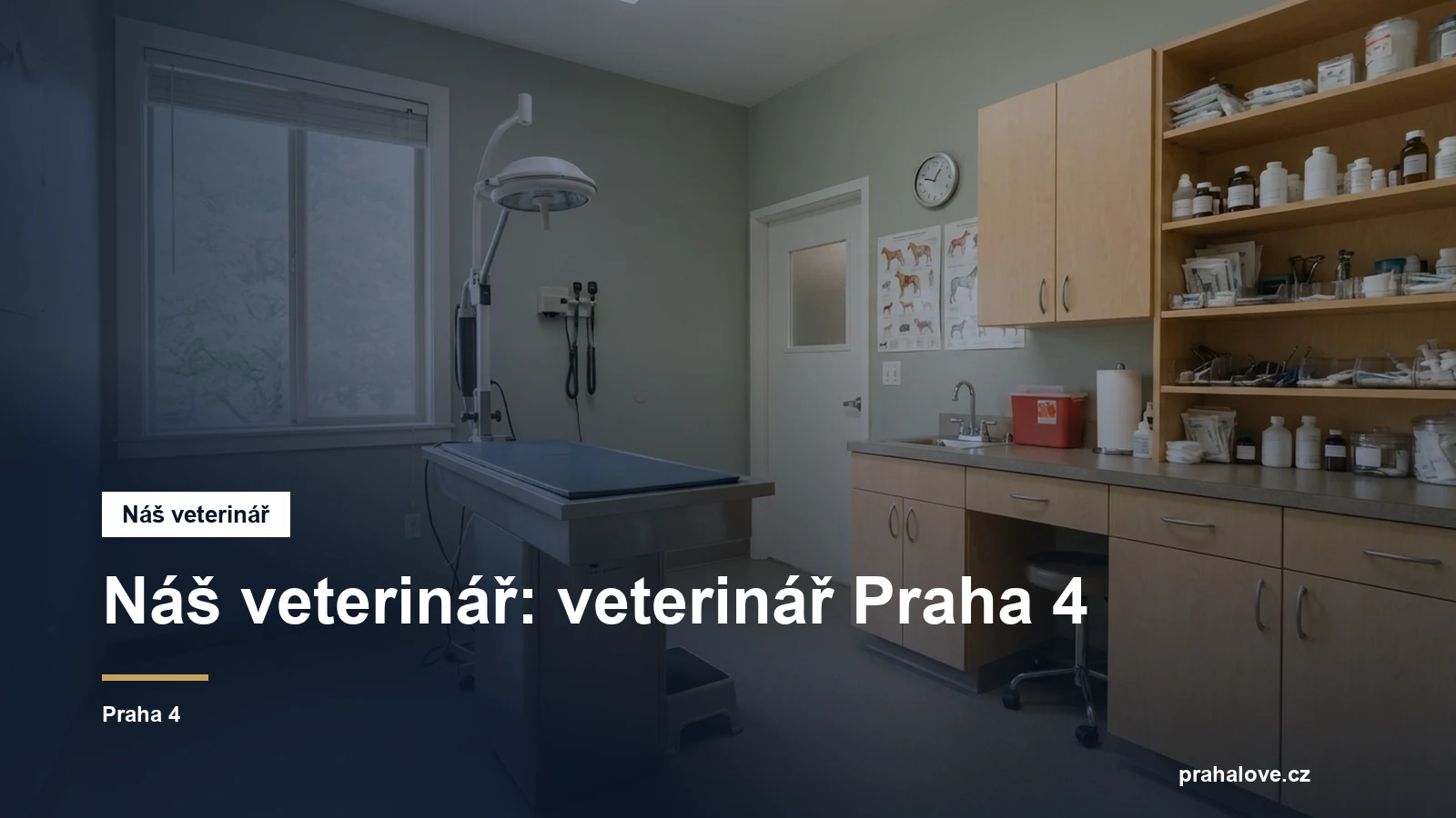 Veterinární ordinace s vyšetřovacím stolem