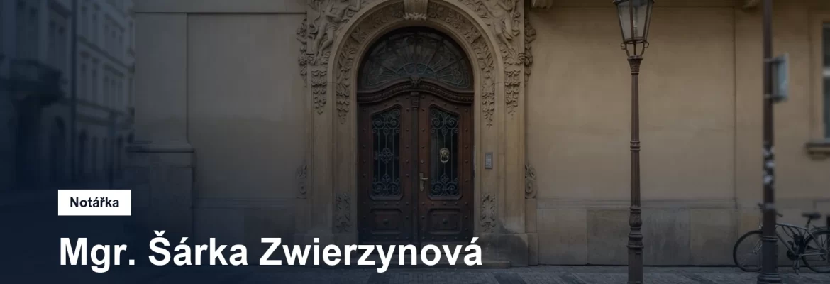 Kamenný portál a chodník u činžovního domu v Opletalově ulici na pražském Novém Městě