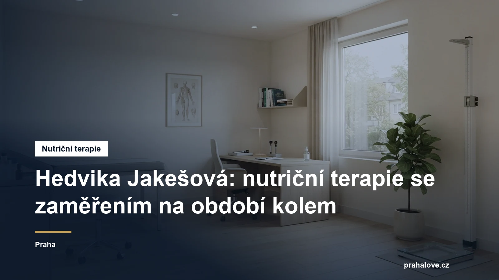 Prostředí nutriční ambulance v Praze